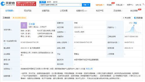 科大讯飞安徽再落两子，千万元级新公司聚焦AI基础软件研发